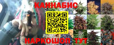 СК Будённовск
