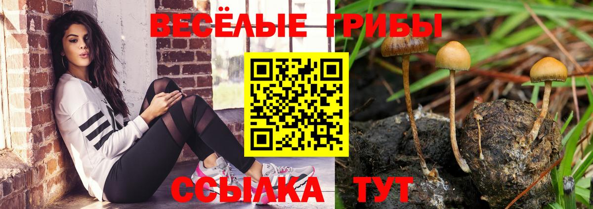 Галлюциногенные грибы GOLDEN TEACHER Черемхово